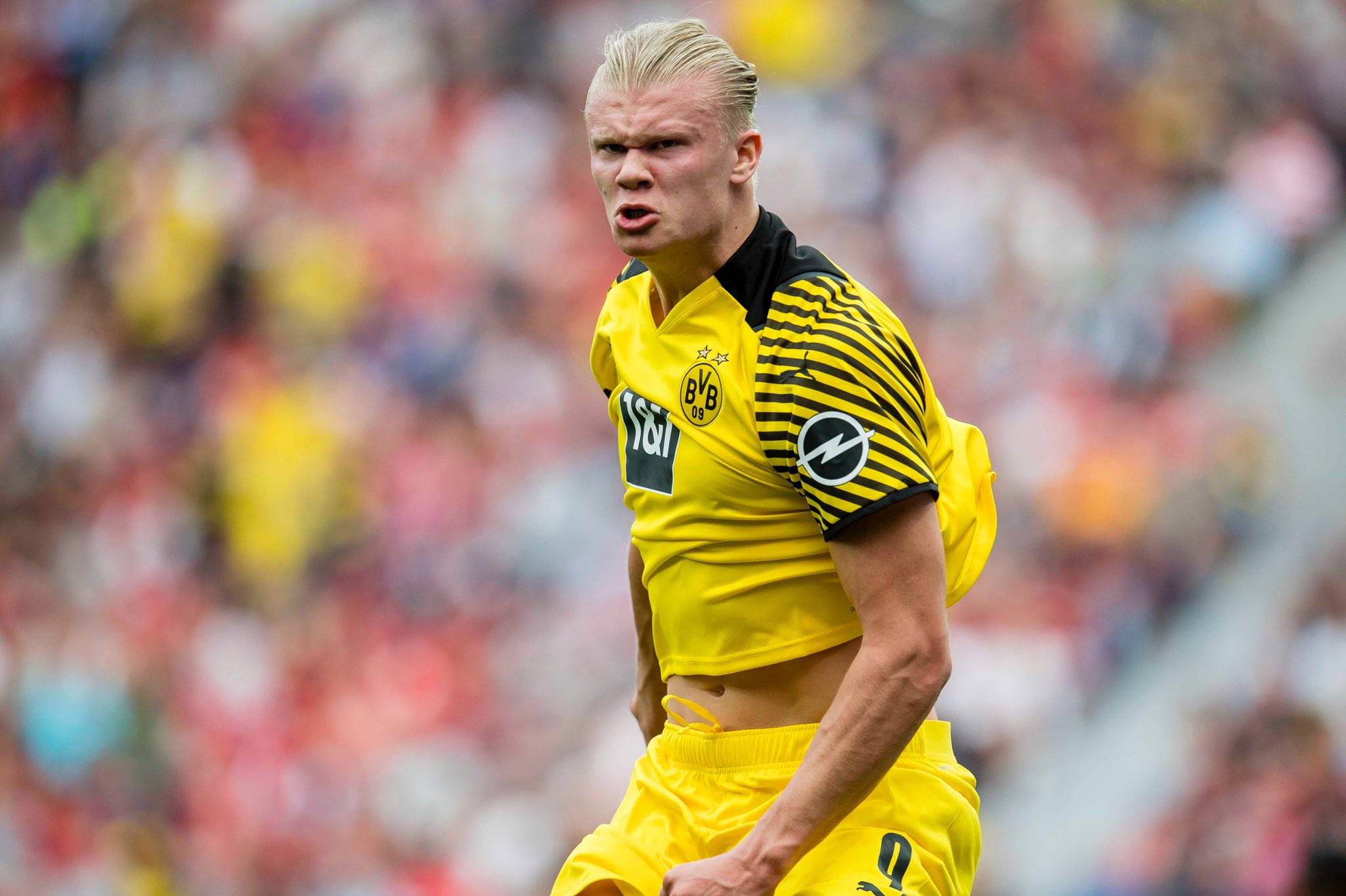 《球球大作战》春日告白季，王子公主孢子甜蜜进化